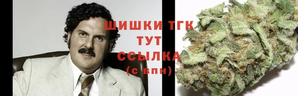 ешки Алексеевка