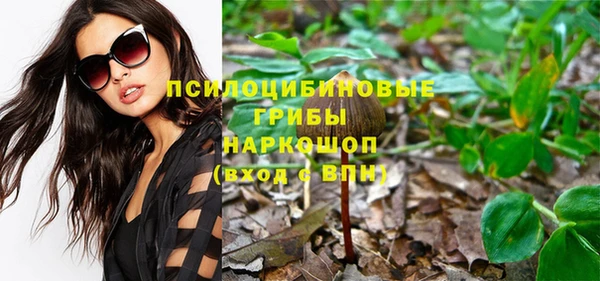 твердый Алзамай
