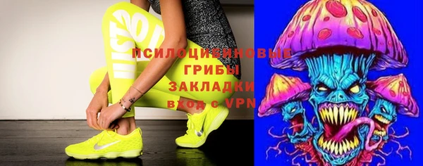 твердый Алзамай